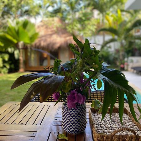 Luxury Private Villas , Private Pool, Private Garden, Jacuzzi, 24Hours Security Tulum Exteriér fotografie