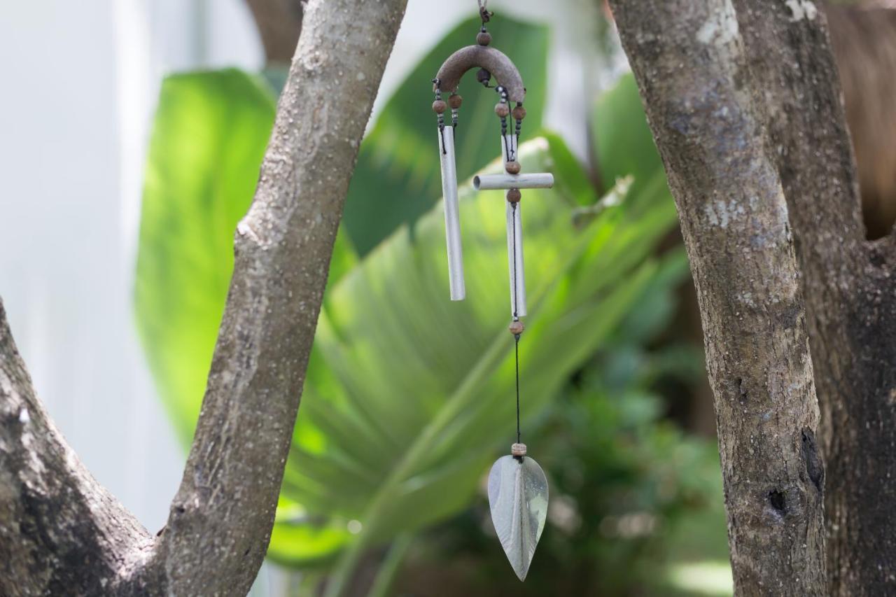 Luxury Private Villas , Private Pool, Private Garden, Jacuzzi, 24Hours Security Tulum Exteriér fotografie