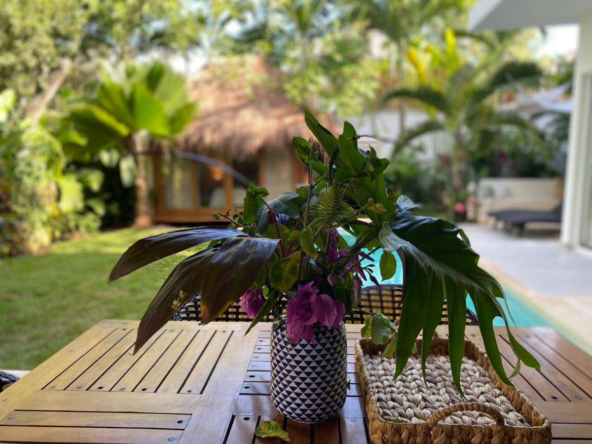 Luxury Private Villas , Private Pool, Private Garden, Jacuzzi, 24Hours Security Tulum Exteriér fotografie