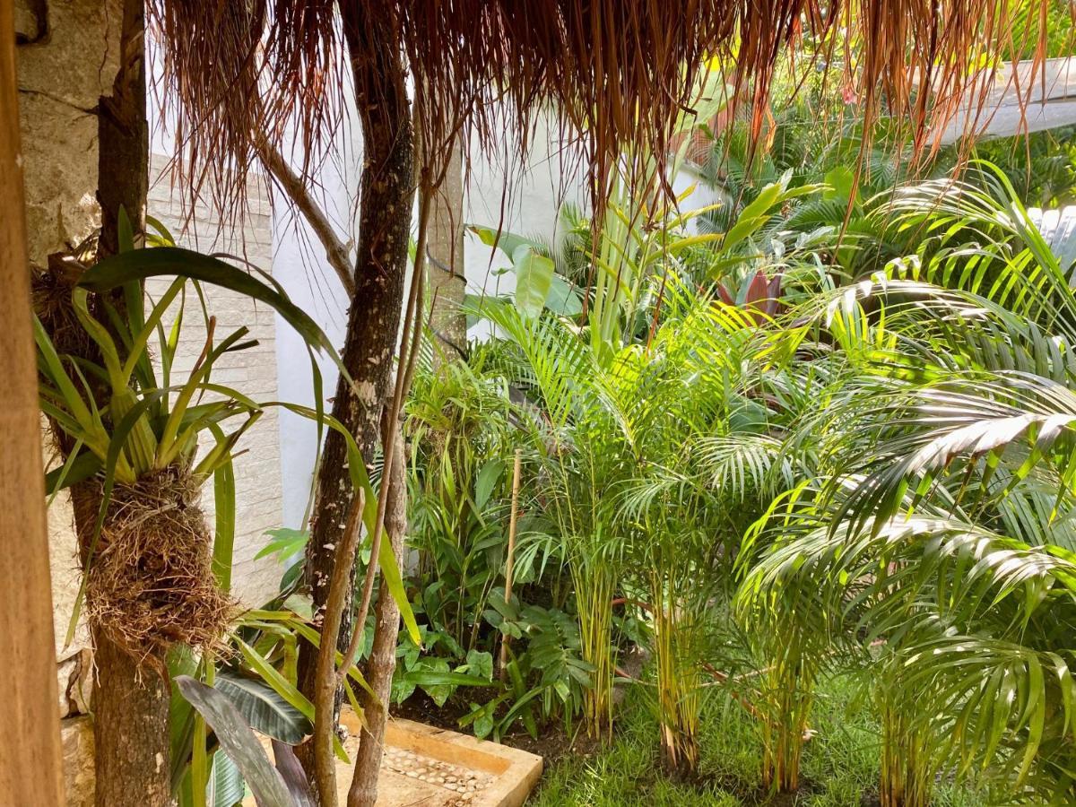 Luxury Private Villas , Private Pool, Private Garden, Jacuzzi, 24Hours Security Tulum Exteriér fotografie