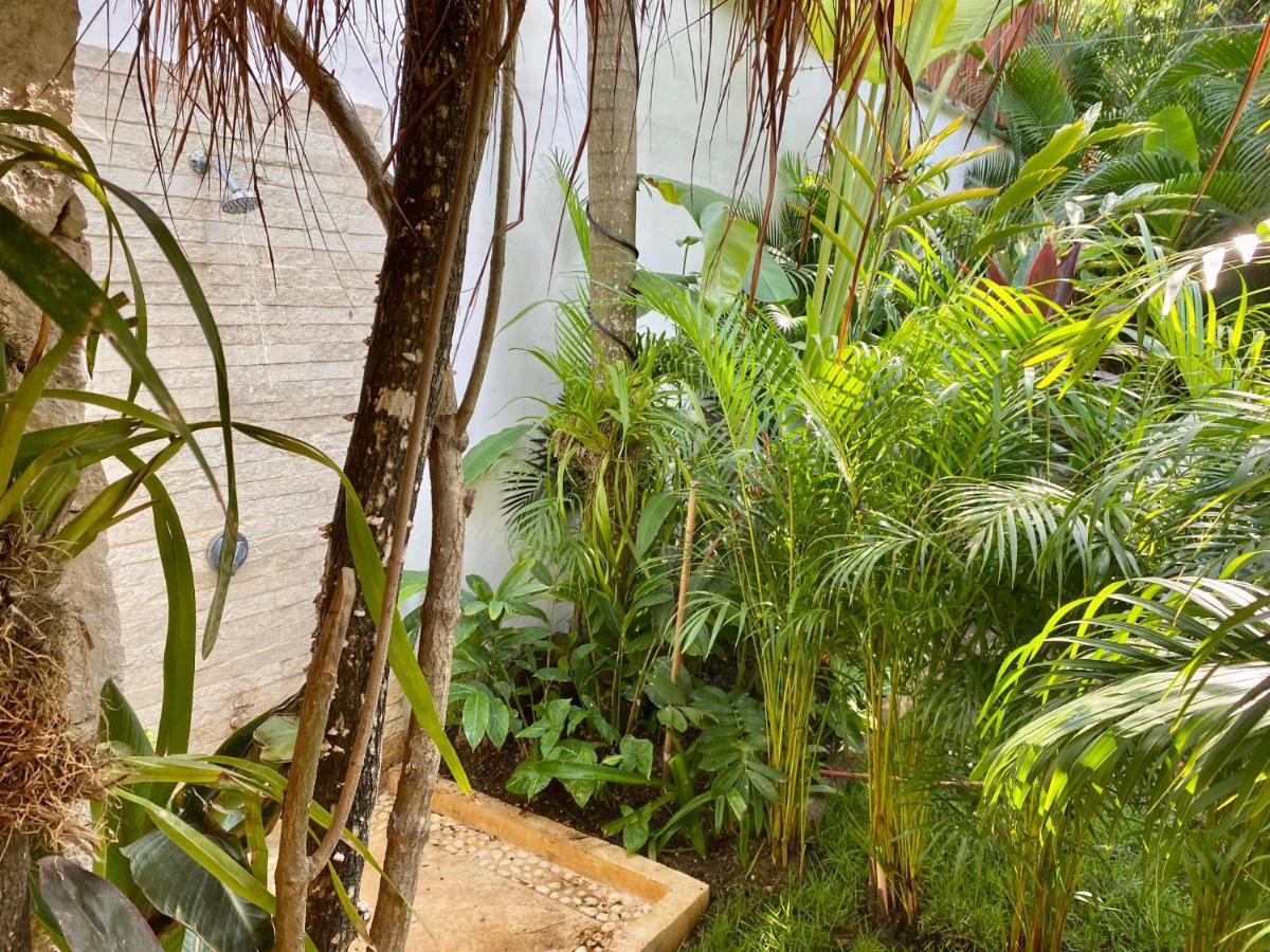 Luxury Private Villas , Private Pool, Private Garden, Jacuzzi, 24Hours Security Tulum Exteriér fotografie